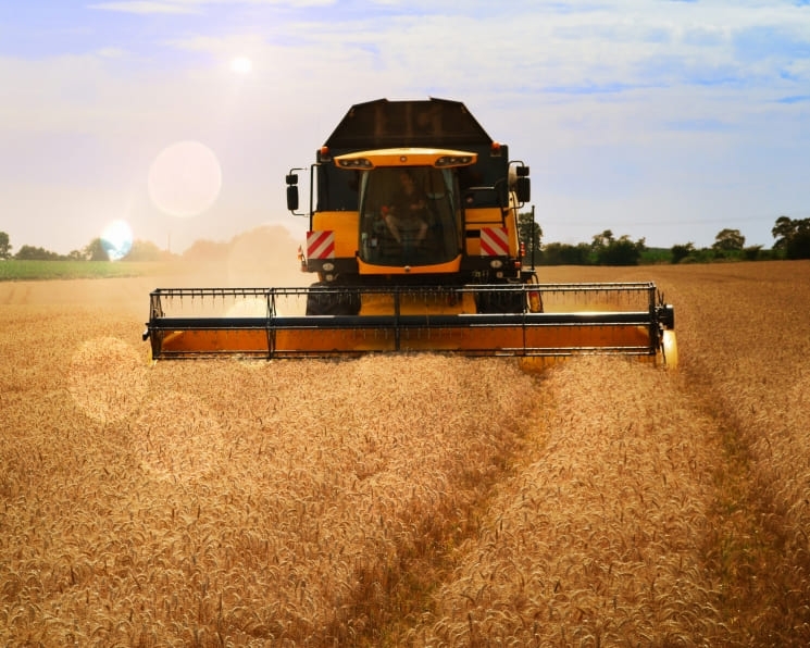 Эксперты оценили объем урожая зерна в 2023 году Он может составить не менее 130 млн тонн