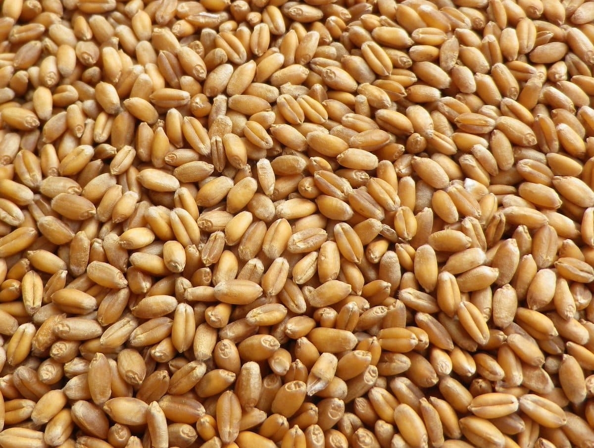 В Госдуме выразили обеспокоенность ситуацией с ценами на зерно в России