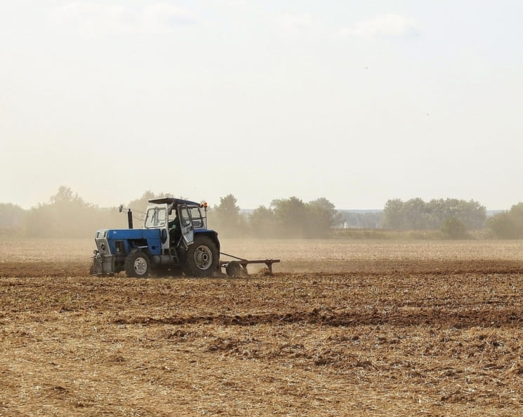 «СовЭкон» повысил прогноз урожая пшеницы на 1,5 млн тонн. Причиной стала благоприятная погода в ключевых аграрных регионах
