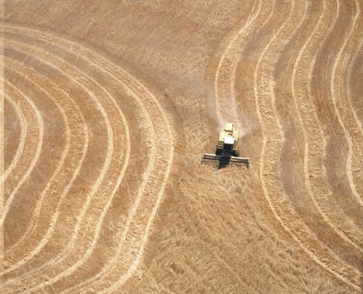 Аналитики оценили потенциал экспорта пшеницы в новом сезоне. Показатель может стать вторым по величине после ожидаемого рекорда текущего сезона