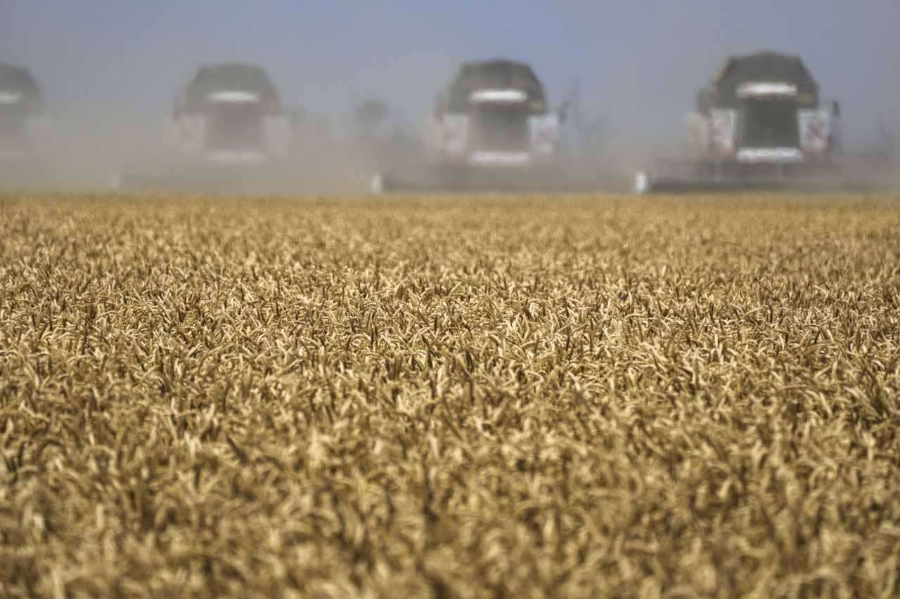 Низкие цены на зерно не позволяют аграриям развиваться. Участники рынка не рассчитывают на их заметное повышение