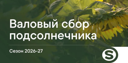 Валовый сбор подсолнечника 2026: где соберем больше