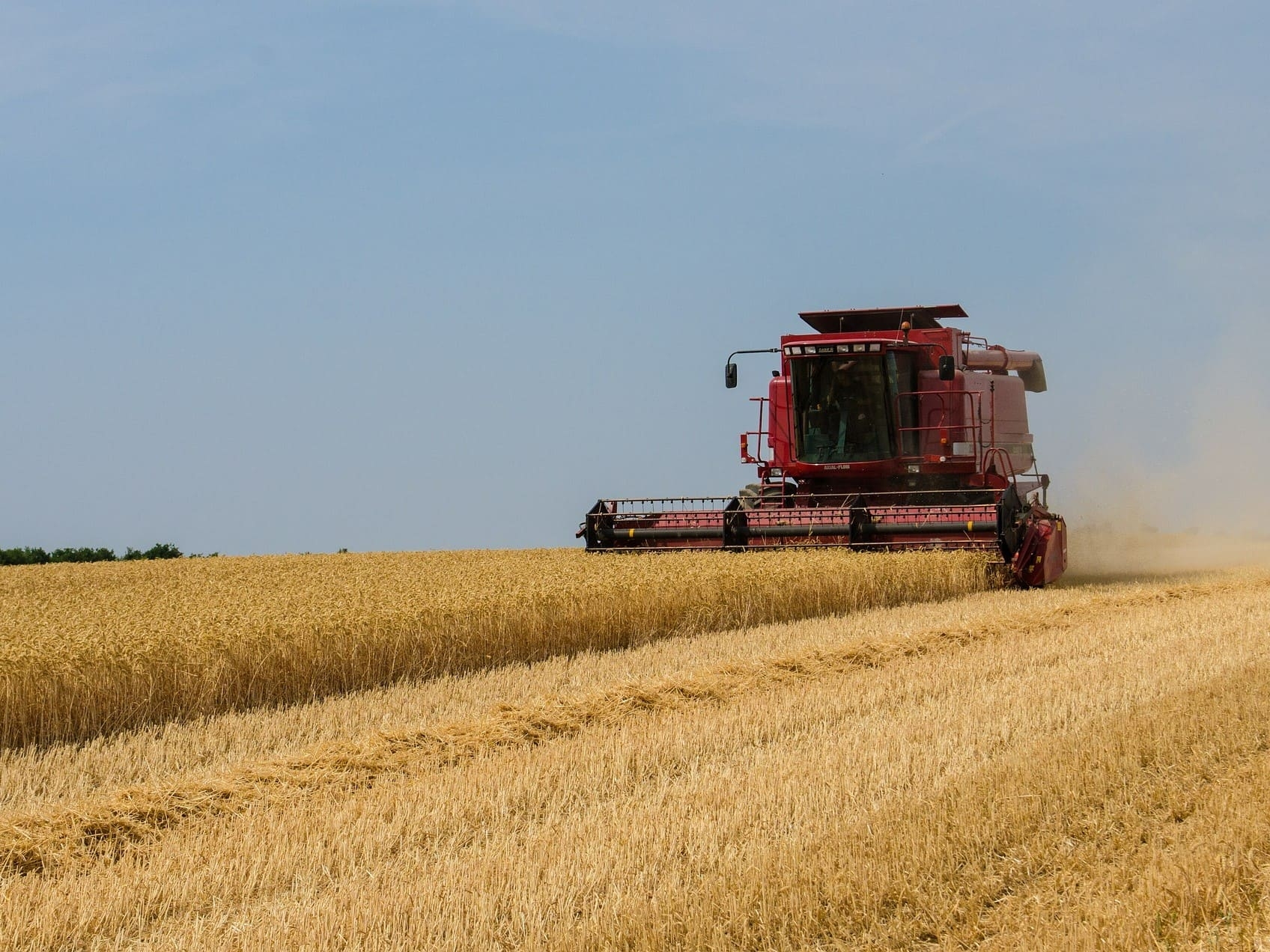 «СовЭкон» сообщил о рекордно низких темпах уборки пшеницы. Работа продвигается медленно из-за обильных дождей.