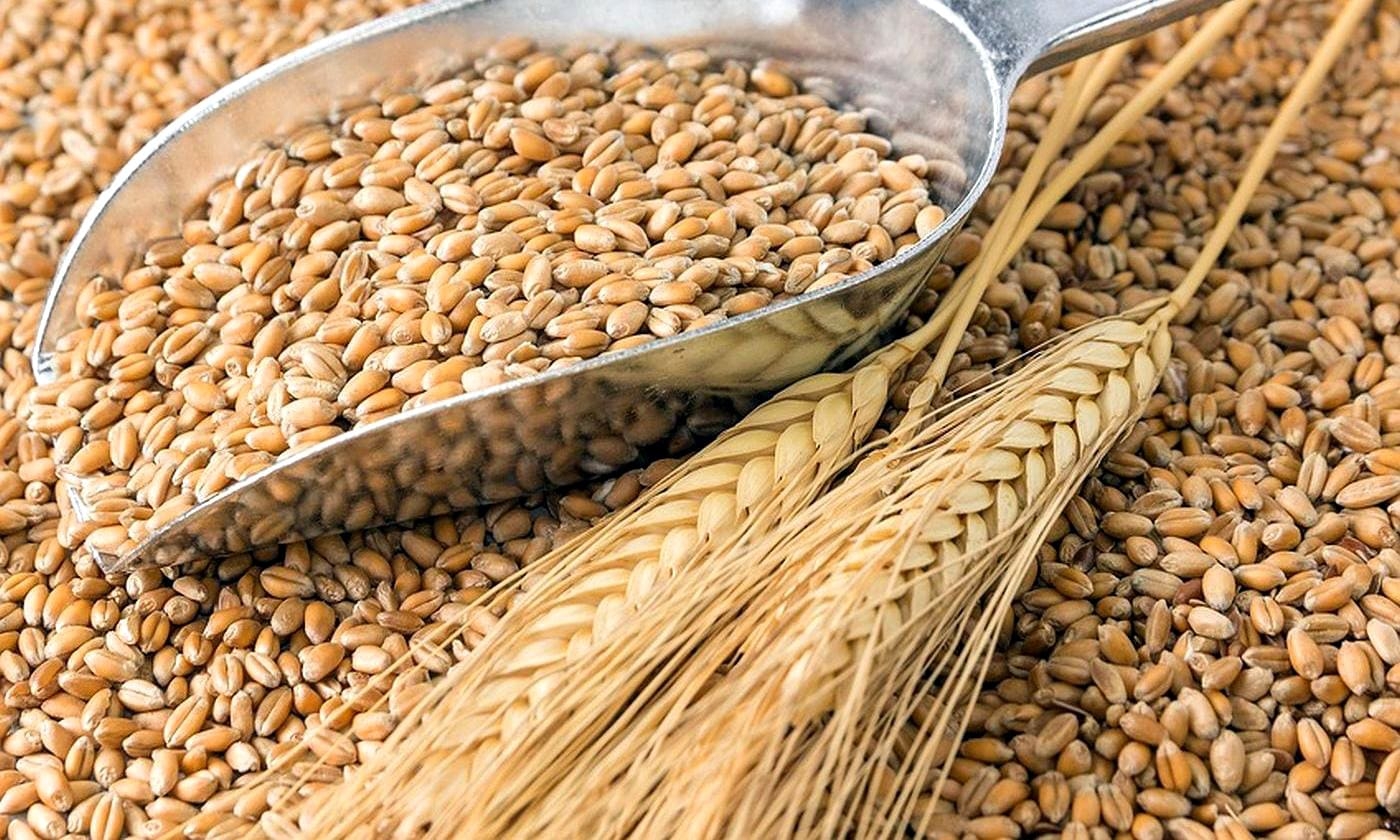 Цены на пшеницу в России упали до уровня 2019 года