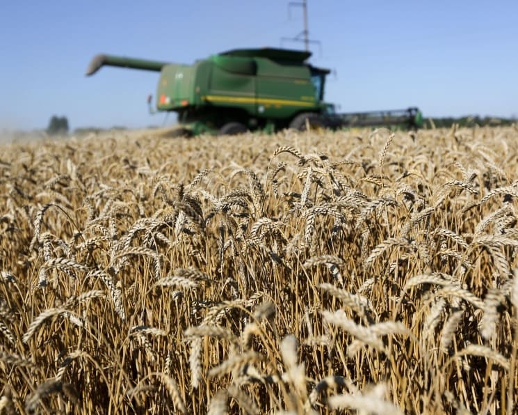 Внутренние цены на пшеницу выросли до мартовского уровня. Это связано с высоким спросом со стороны экспортеров