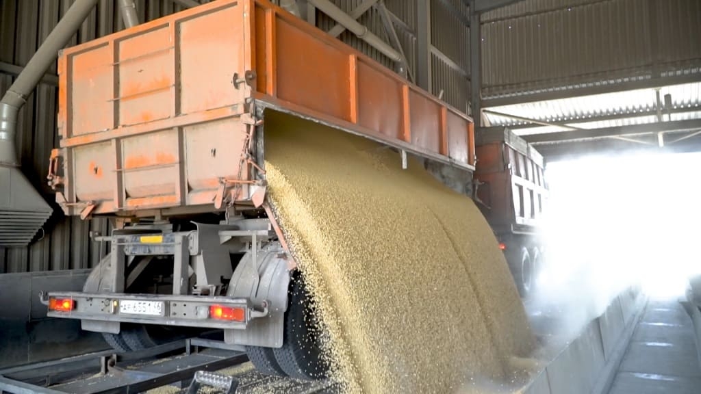 Аграрии не спешат продавать зерно из-за низких цен. При этом спрос ограничен