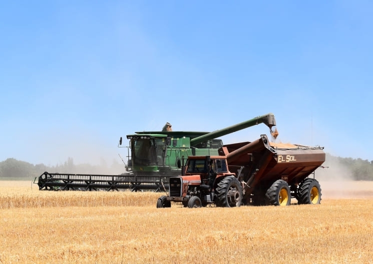 Минсельхоз: рентабельность производства зерновых снизилась почти вдвое. В России уже собрано более 21 млн тонн зерна