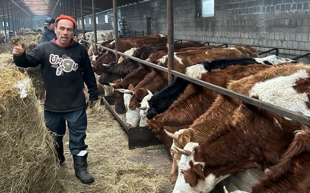 В Абдулинском ГО специалисты сельхозуправления мониторят ход зимовки скота