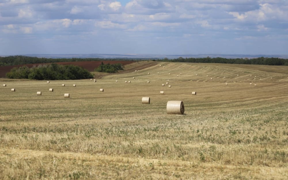 Более 180 тысяч тонн сена заготовлено в хозяйствах Оренбуржья