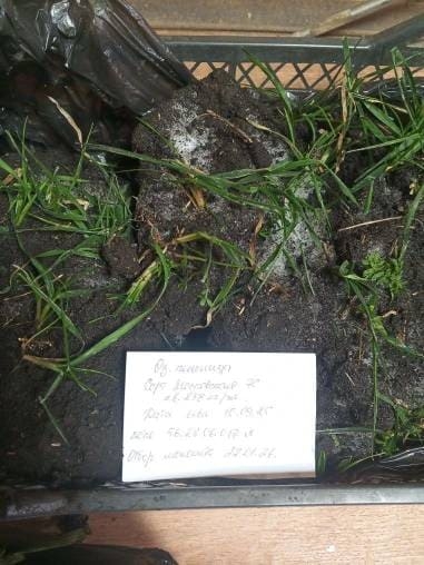 В хозяйствах Северного района приступили к отбору монолитов